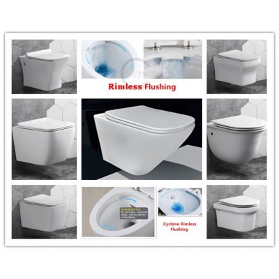 PATENTED "TANKLESS" Ceramic RIMLESS, TORNADO flush Wall Hung toilet - Concealed Cistern NOT REQUIRED