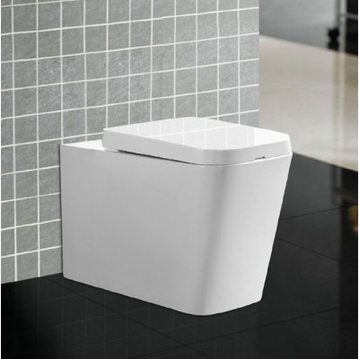 CY3073FM-RIMLESS north American Sanitary ware floor mounted toilet seat bathroom wc